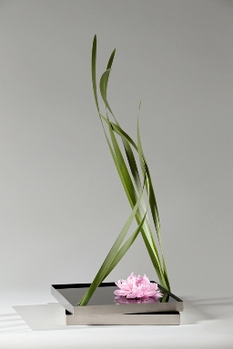 Композиция DEFENCE для книги IKEBANA INSPIRED BY EMOTIONS